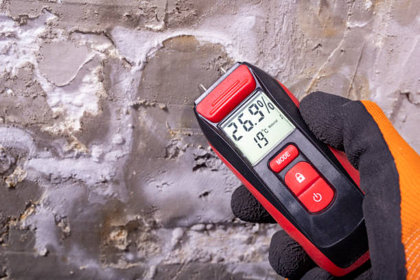 Best Attic Mold Removal  in Junction City, OR
