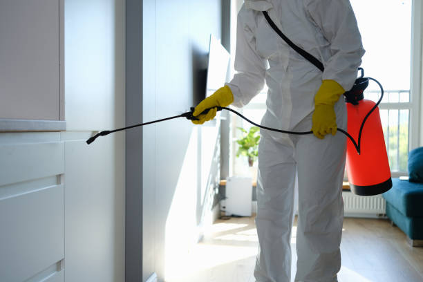 Crawl Space Mold Removal in Junction City, OR